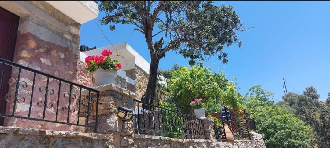 Villa Sarichel Nikithianos Exterior foto